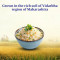 Daawat Lachkari Wada Kolam Rice