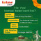 Fortune Unpolished Arhar Dal/ Toor Dal