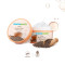 Chia Hydra-Calm Face Pack with Chia Seed & Ceramides for Healthy Skin Barrier - 200 g
