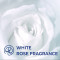 Lux Creamy Perfection Plus
