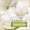 Lux Velvet Glow Soap - Jasmine & Vitamin E