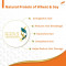 Himalaya Damage Repair Argan Oil Shampoo