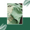 Boy Collar T shirt Green