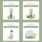 Lotus Herbals Whiteglow Oatmeal & Yogurt Skin Whitening & Brightening Scrub