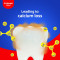 Colgate Strong Teeth Anticavity Toothpaste