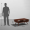 Peep - Rectangular Coffee Table / Center Table with Storage (Provincial Teak Finish)
